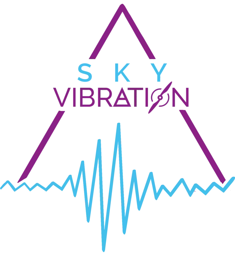 Logo-2-SkyVibration